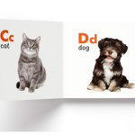 My First Library Set of 10 Books for Kids | Board books for kids | Learning Books for kids