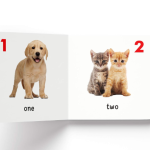 My First Library Set of 10 Books for Kids | Board books for kids | Learning Books for kids